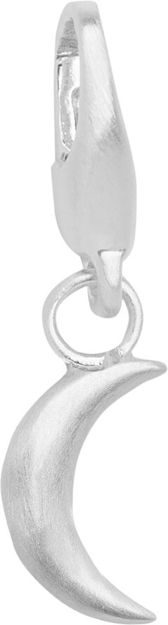 Moon Charm