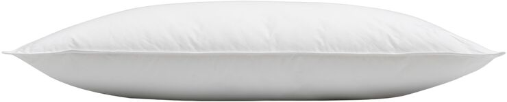 Høie Allergo AAN Pude lav 50x70
