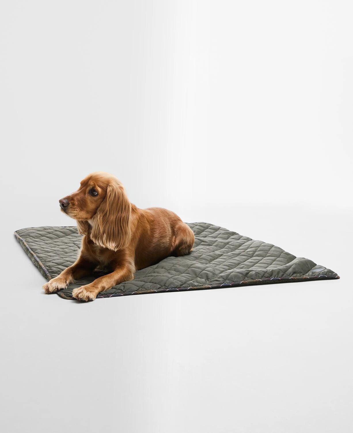 Barbour Dog Quilt & Fleece Blanket