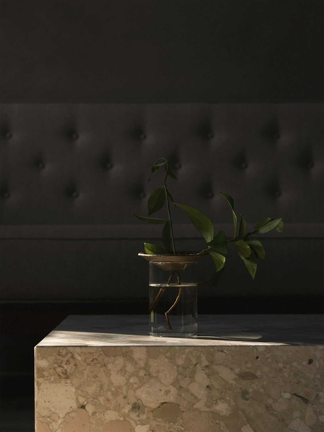 Cresco Propagation Vases, Set of 2