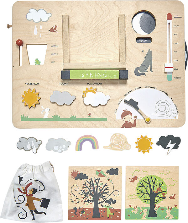 Tender Leaf - Min første vejrstation