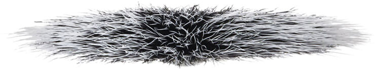 Brushes - 184S Duo Fibre Fan