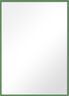 Green Wood Mirror
