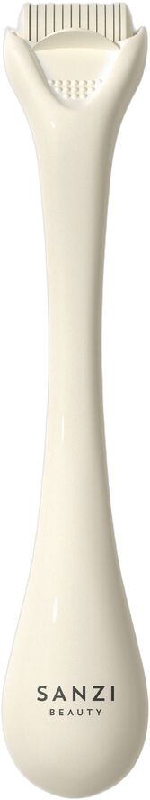 Micro Needle Roller