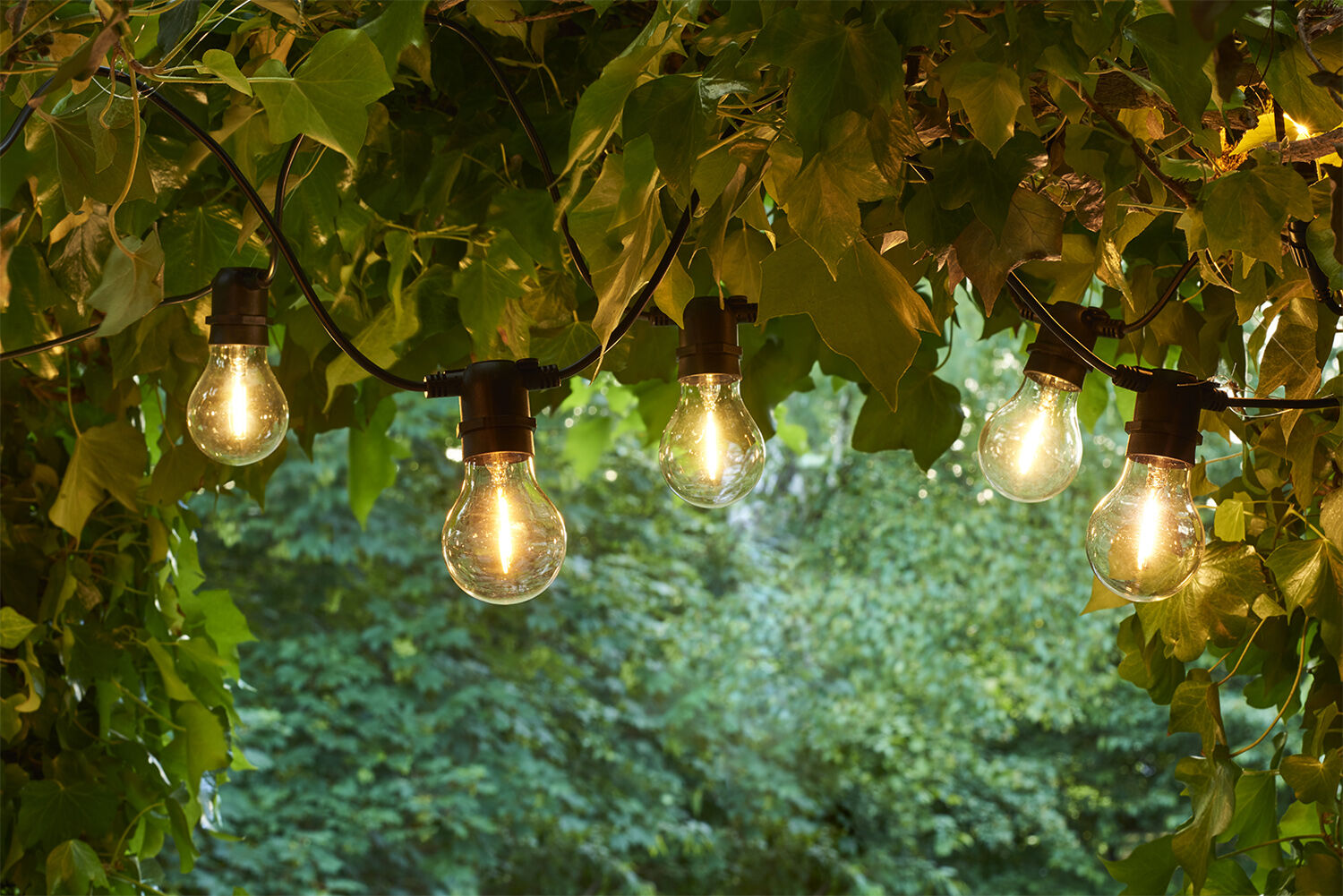 Knirke 500L, Klar/gr&oslash;n