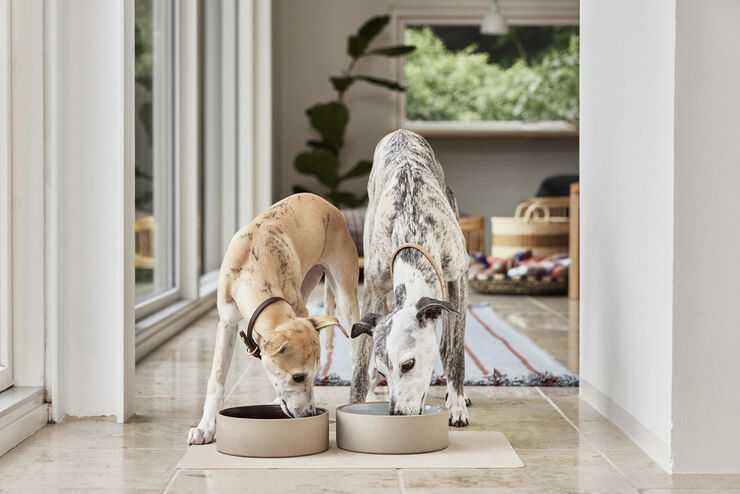 Koko Hundeskål Måtte