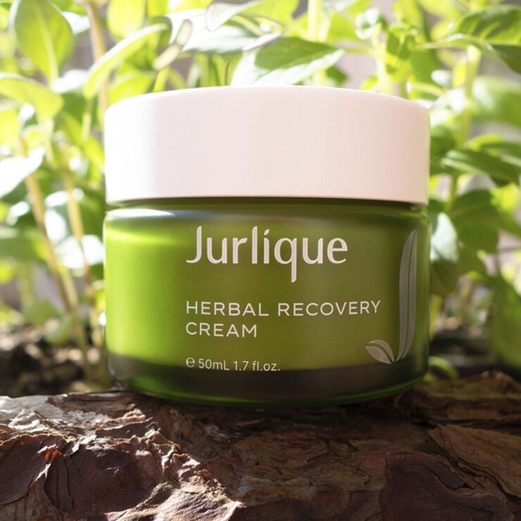 Herbal Recovery Cream