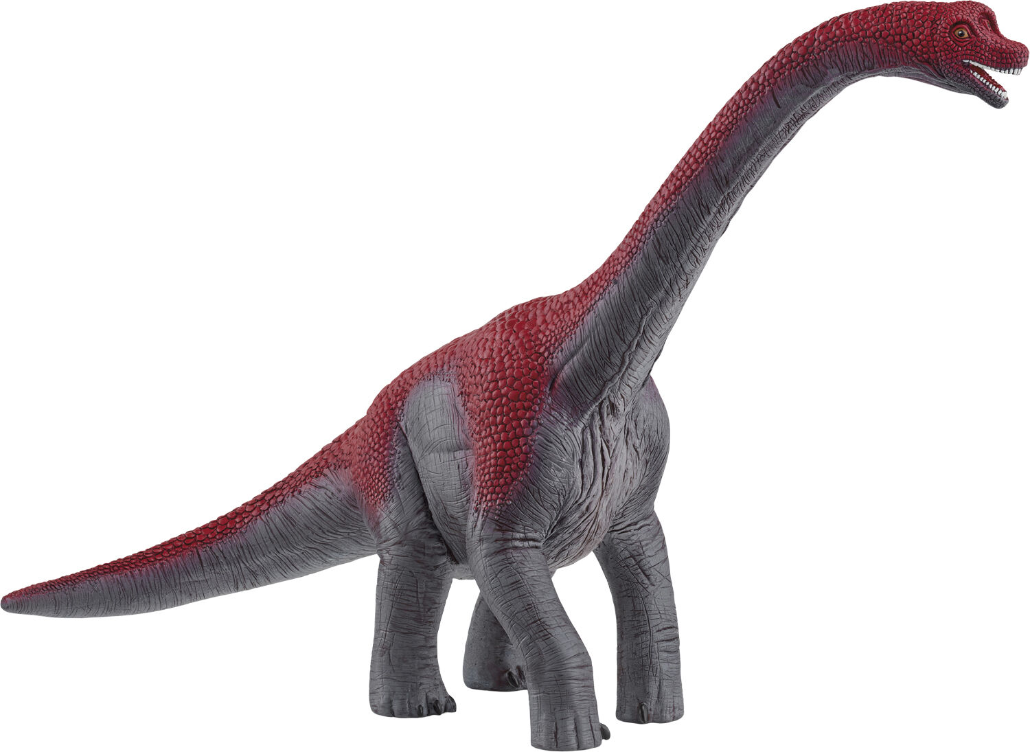 Schleich Brachiosaurus