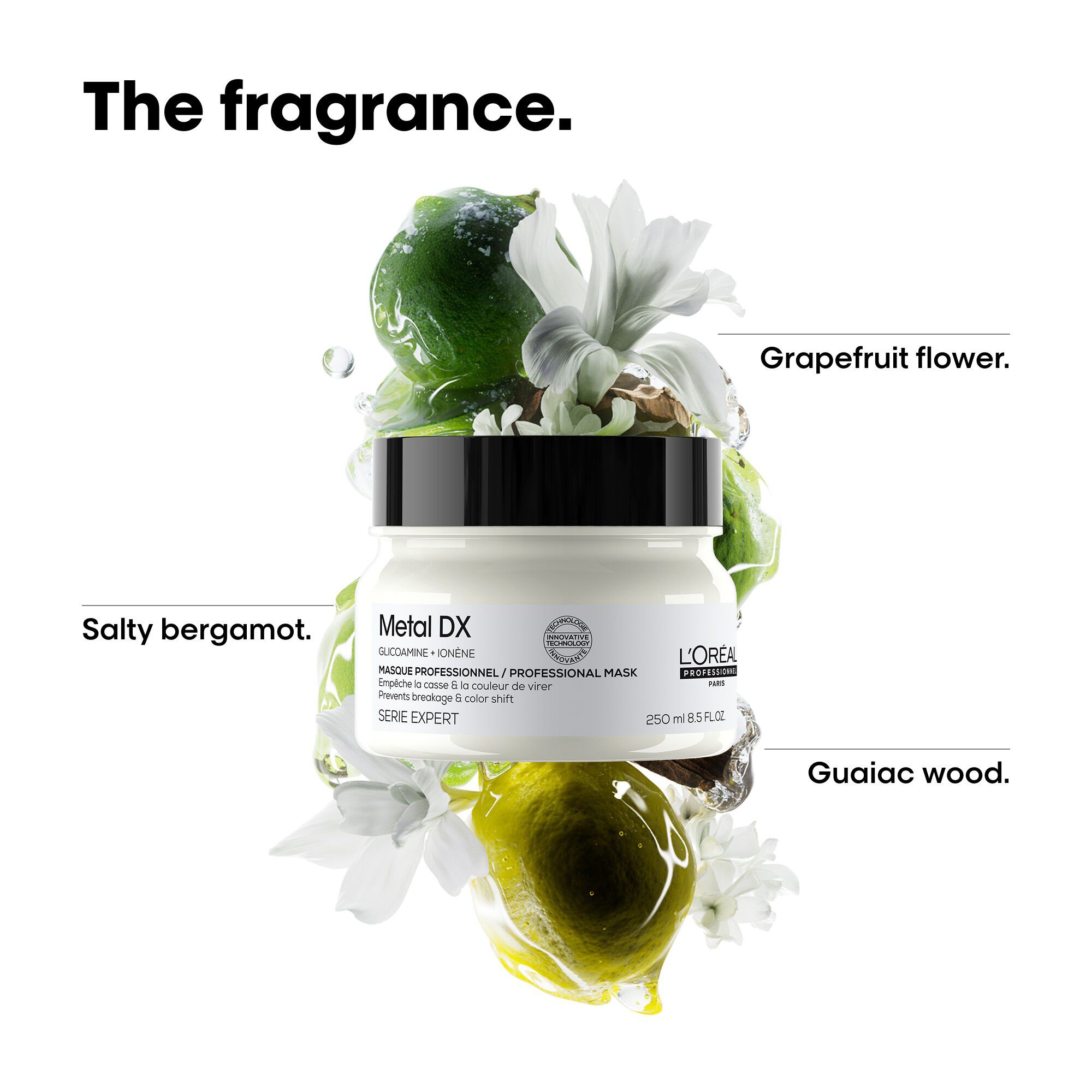 L'Or&eacute;al Professionnel Metal DX Mask 250ml