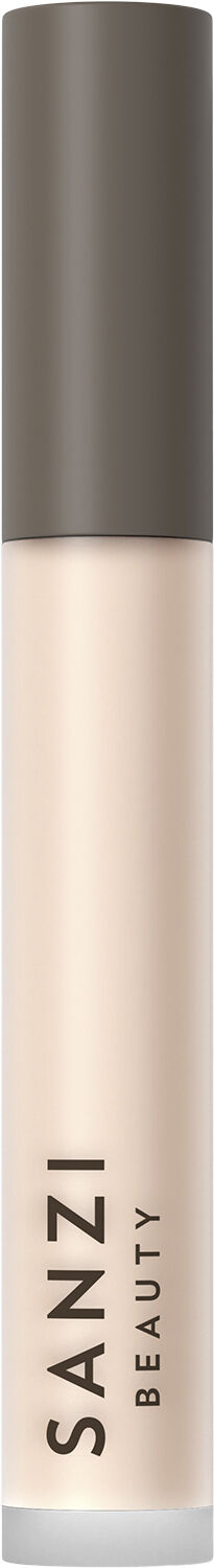 Perfecting Concealer