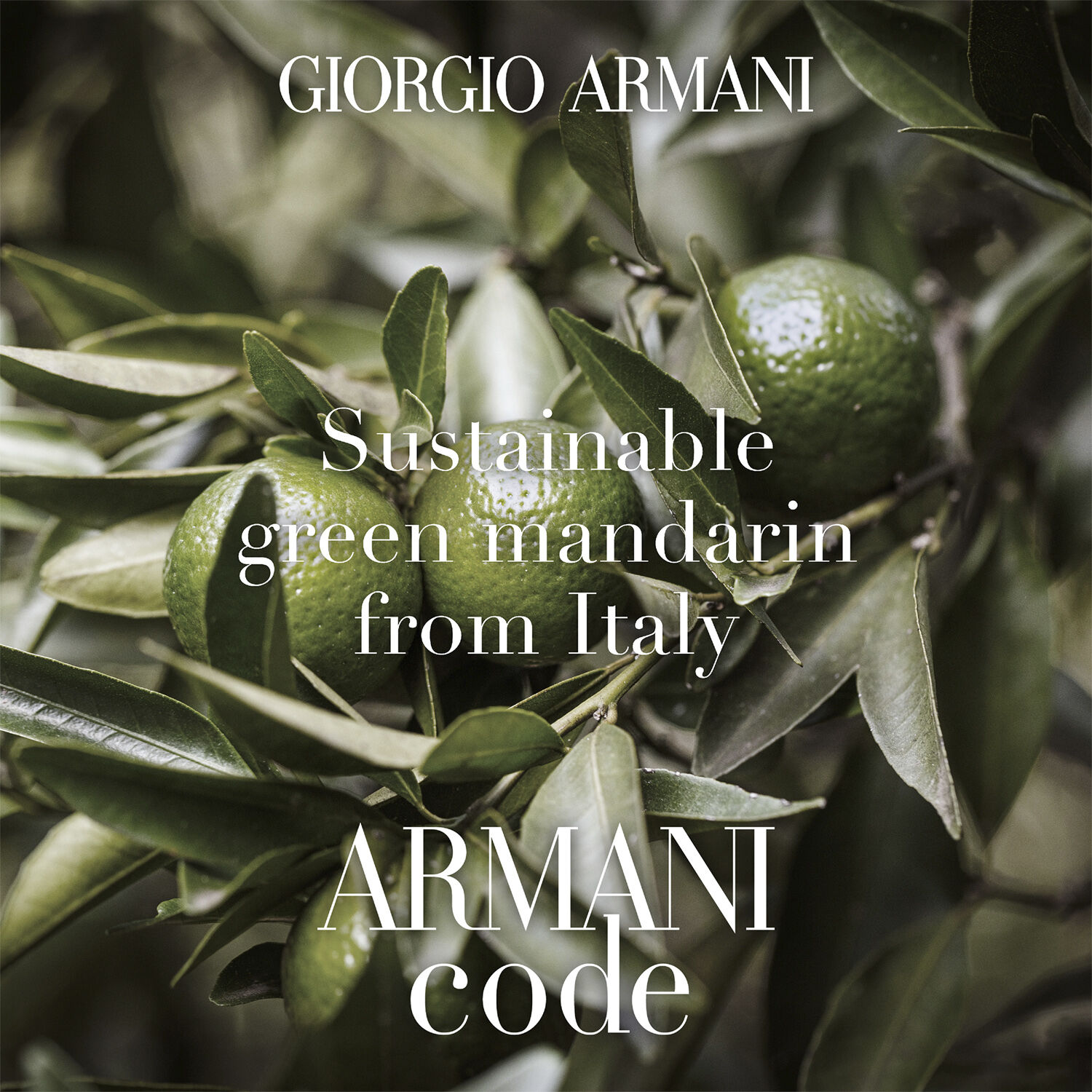 Giorgio Armani Code Eau de Toilette 30ml