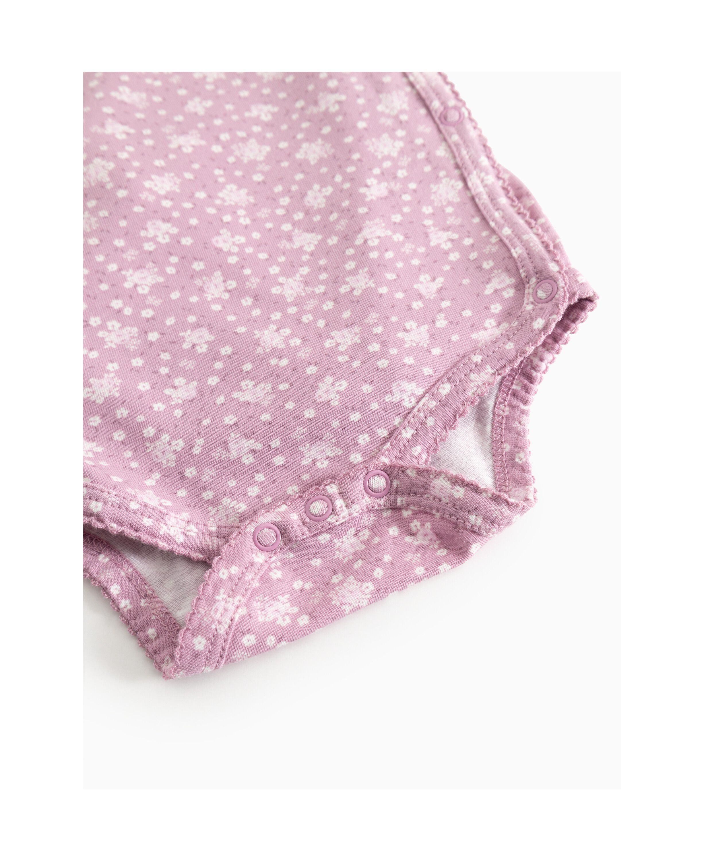 Belita