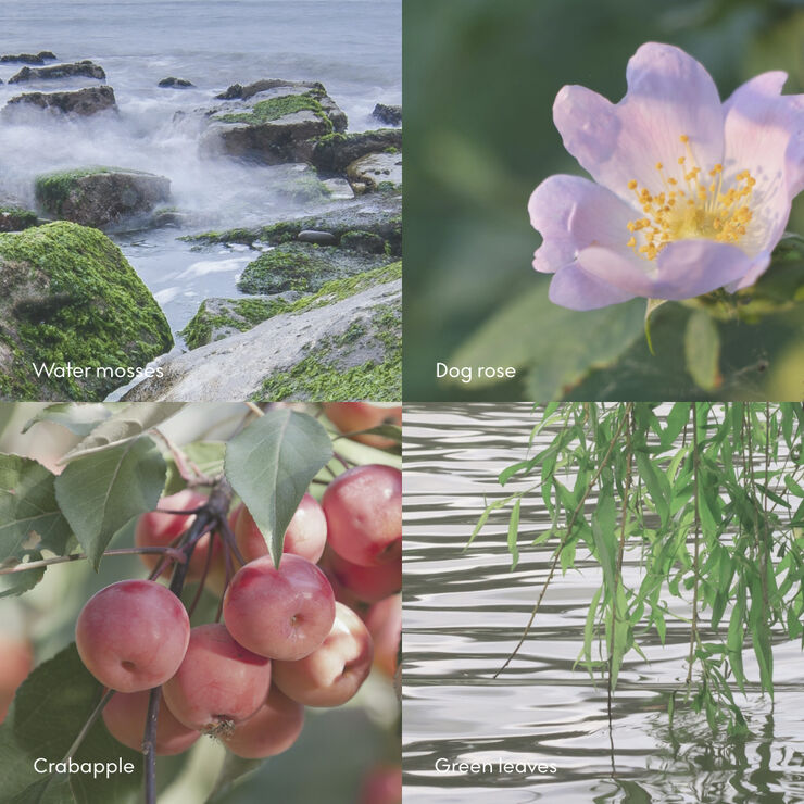 ØY Scent Diffuser 100ml