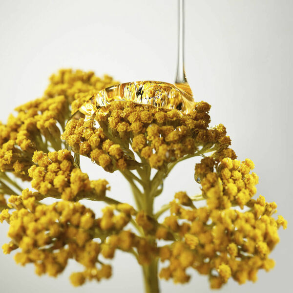 Plantscription Wrinkle Correction Eye Cream With Encapsulated Retinol