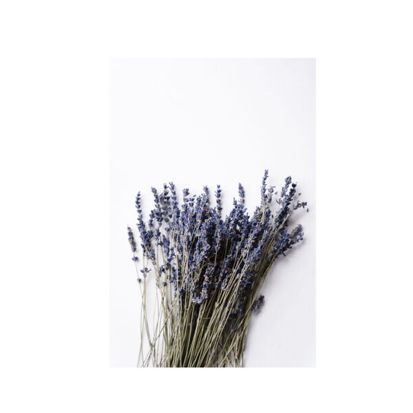 Organic Body Wash Lavender