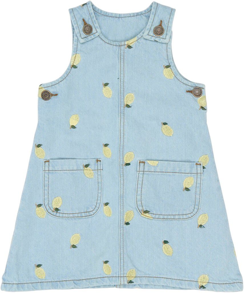 TNSTSaja S_L Denim Dress