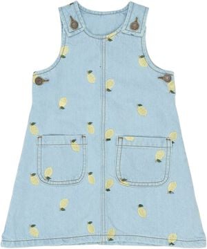 TNSTSaja S_L Denim Dress