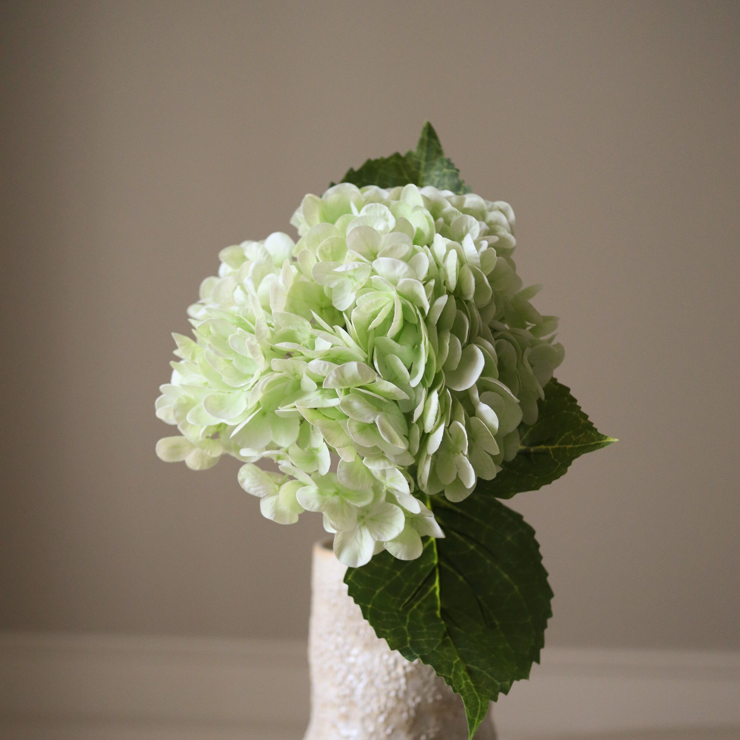 Hydrangea Flower