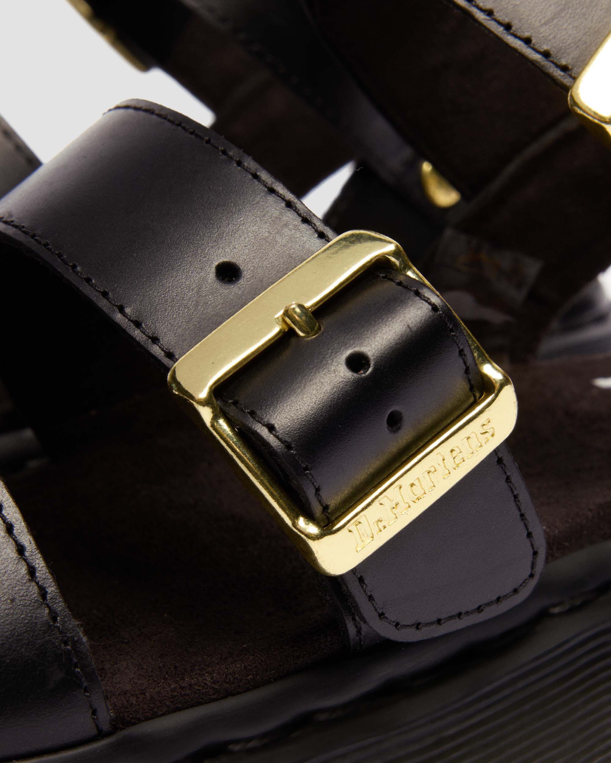 Gryphon Black Atlas