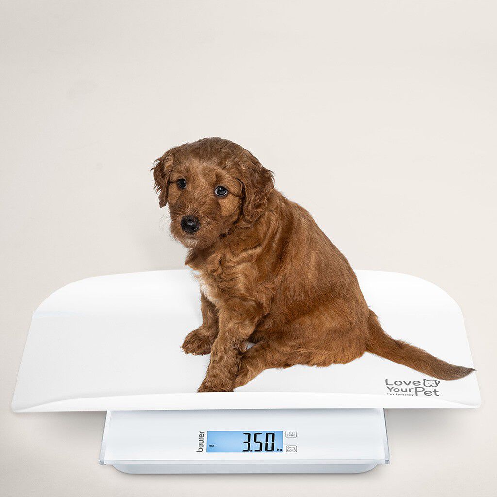 PetCare PP 170 Polly Multifunksjonsvekt for kj&aelig;ledyr