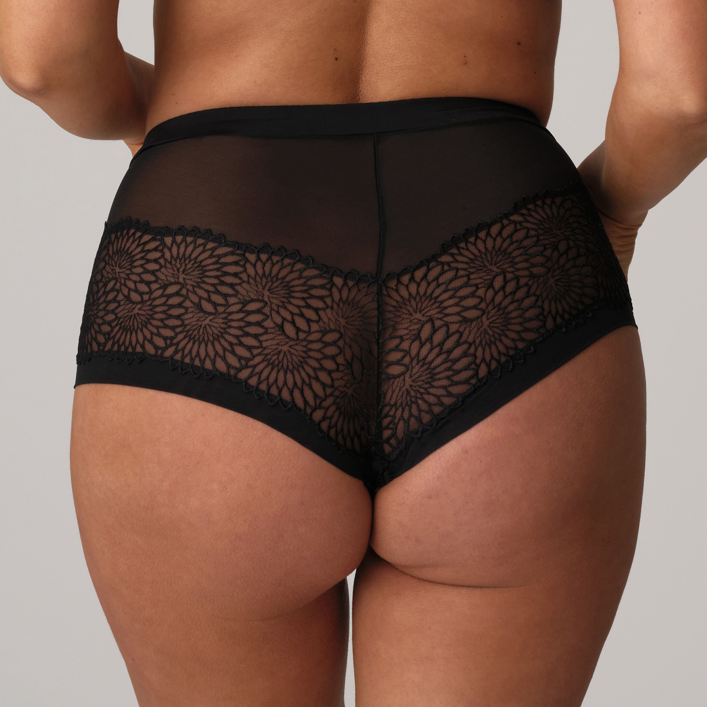 Sophora full briefs