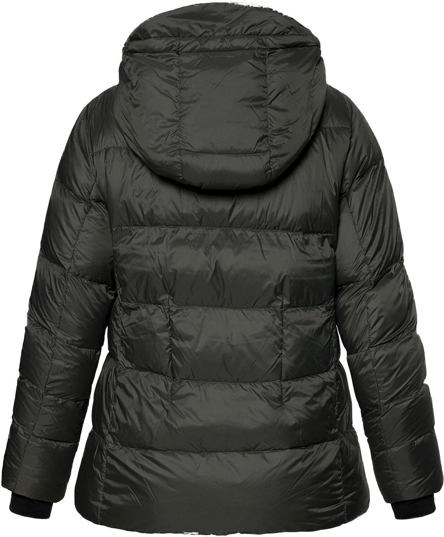 Jacke Daune