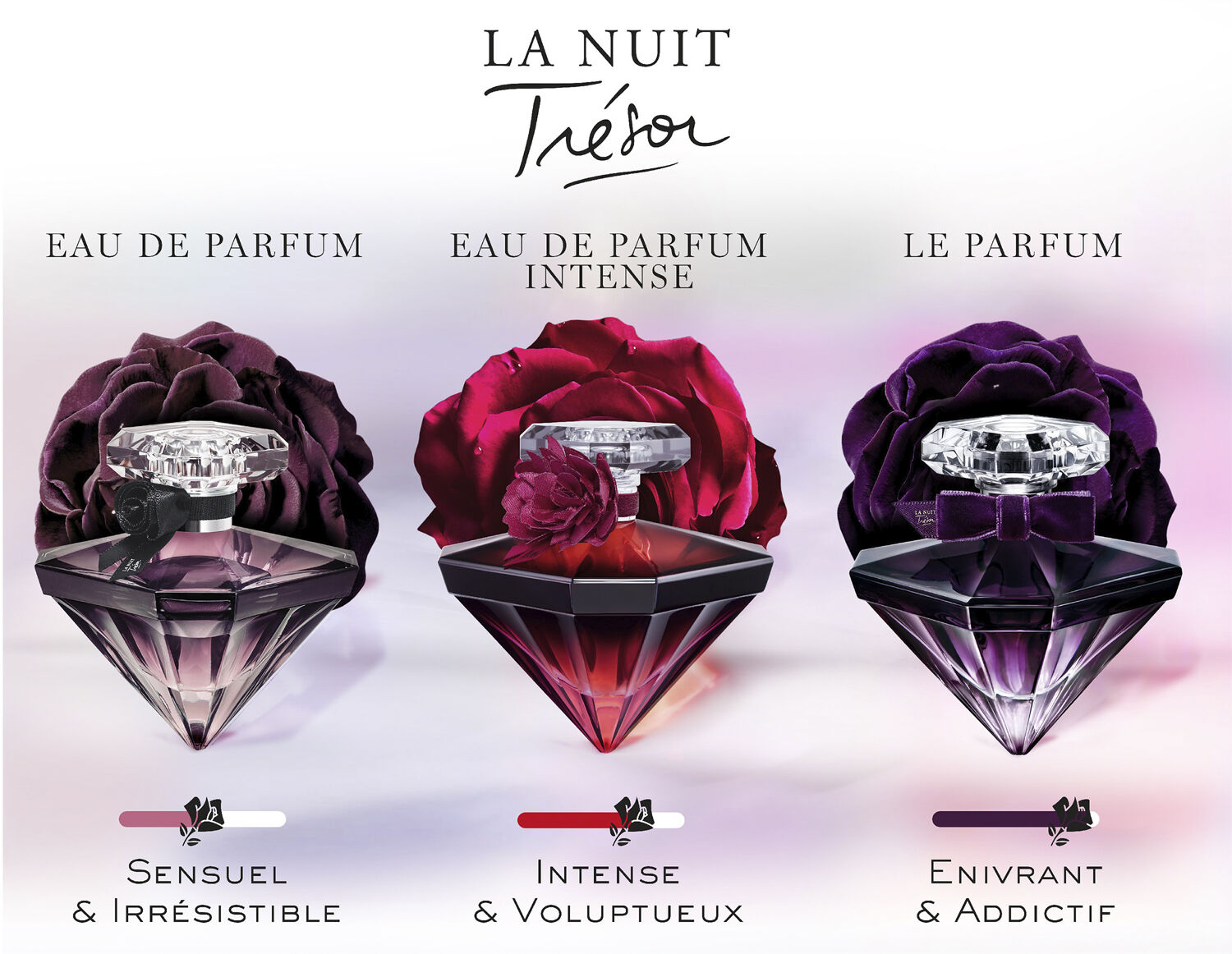 La Nuit Tr&eacute;sor Le Parfum