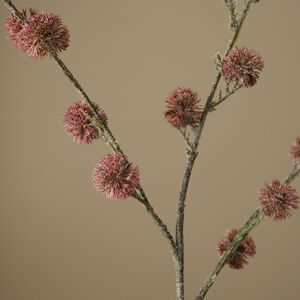 Thistle Ball Branch