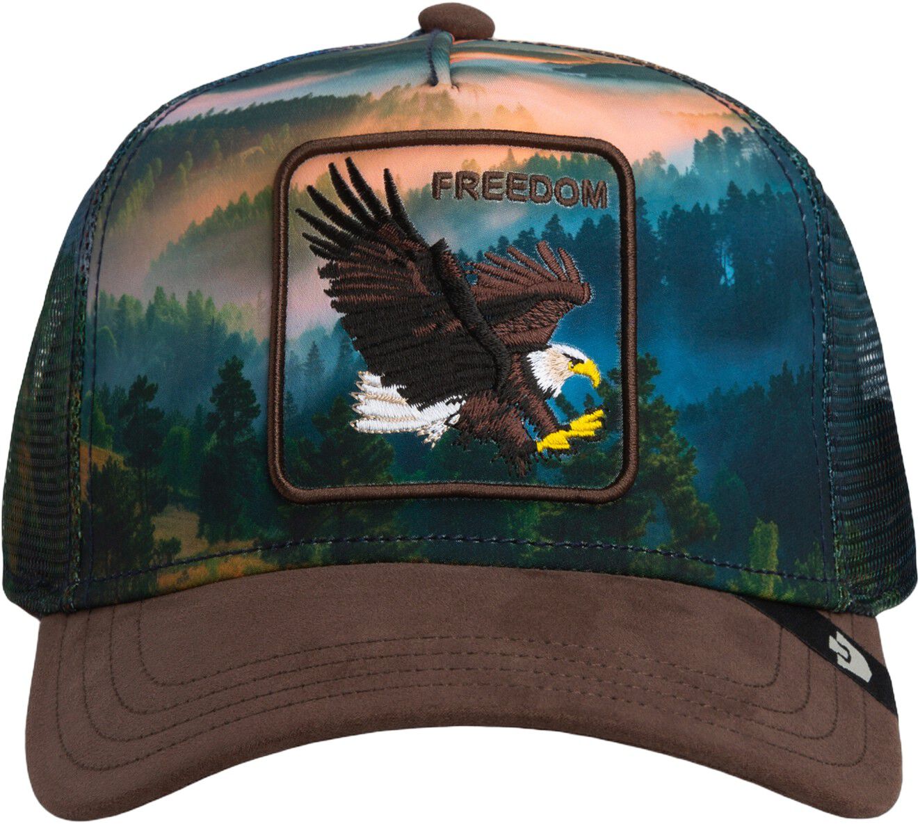 Eagle in the element