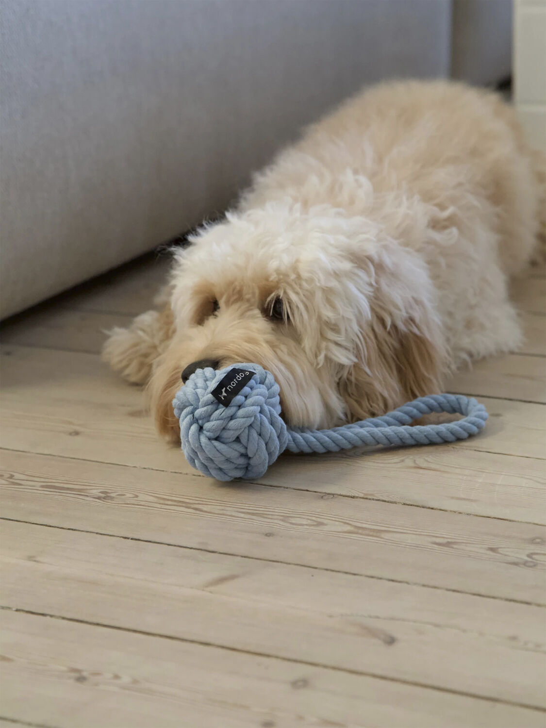 Regleget&oslash;j Sky