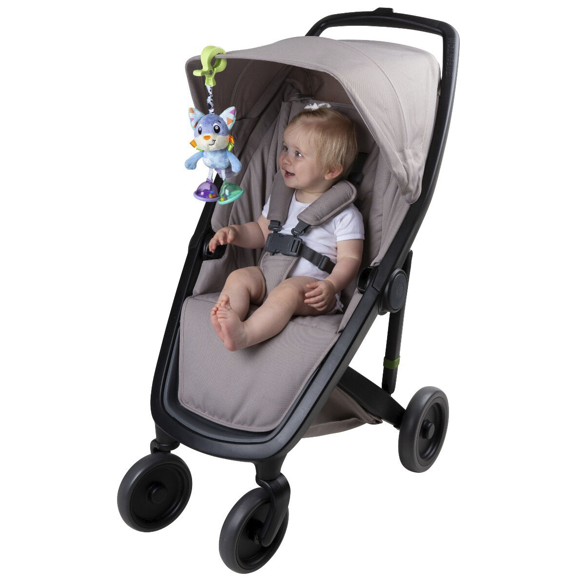 Dingly Dangly oph&aelig;ng, R&aelig;v