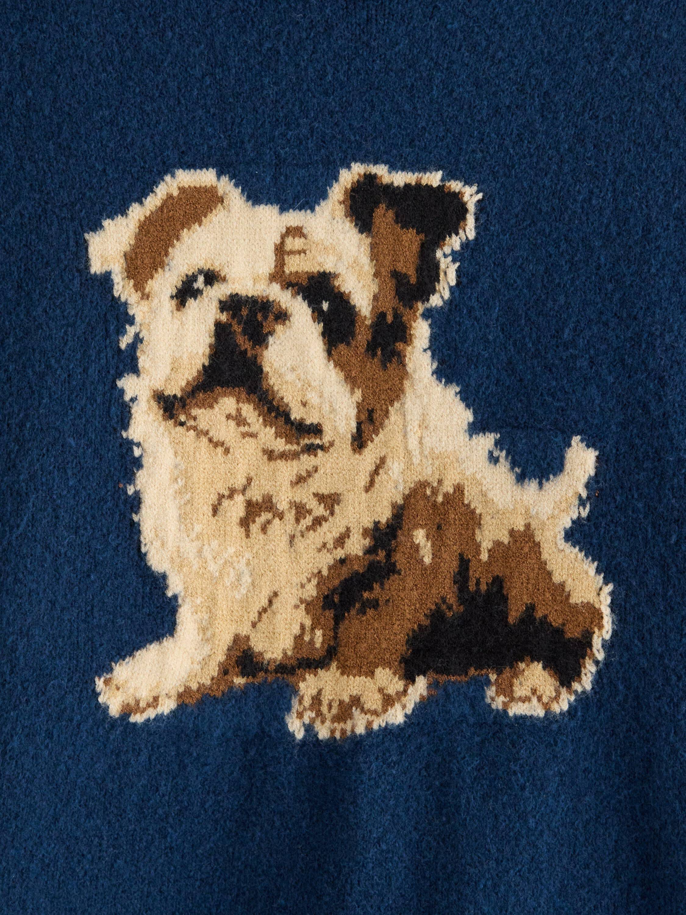 Sweater jaquard dog