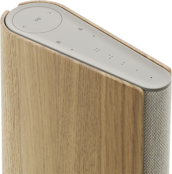 Beosound Emerge Gold Tone