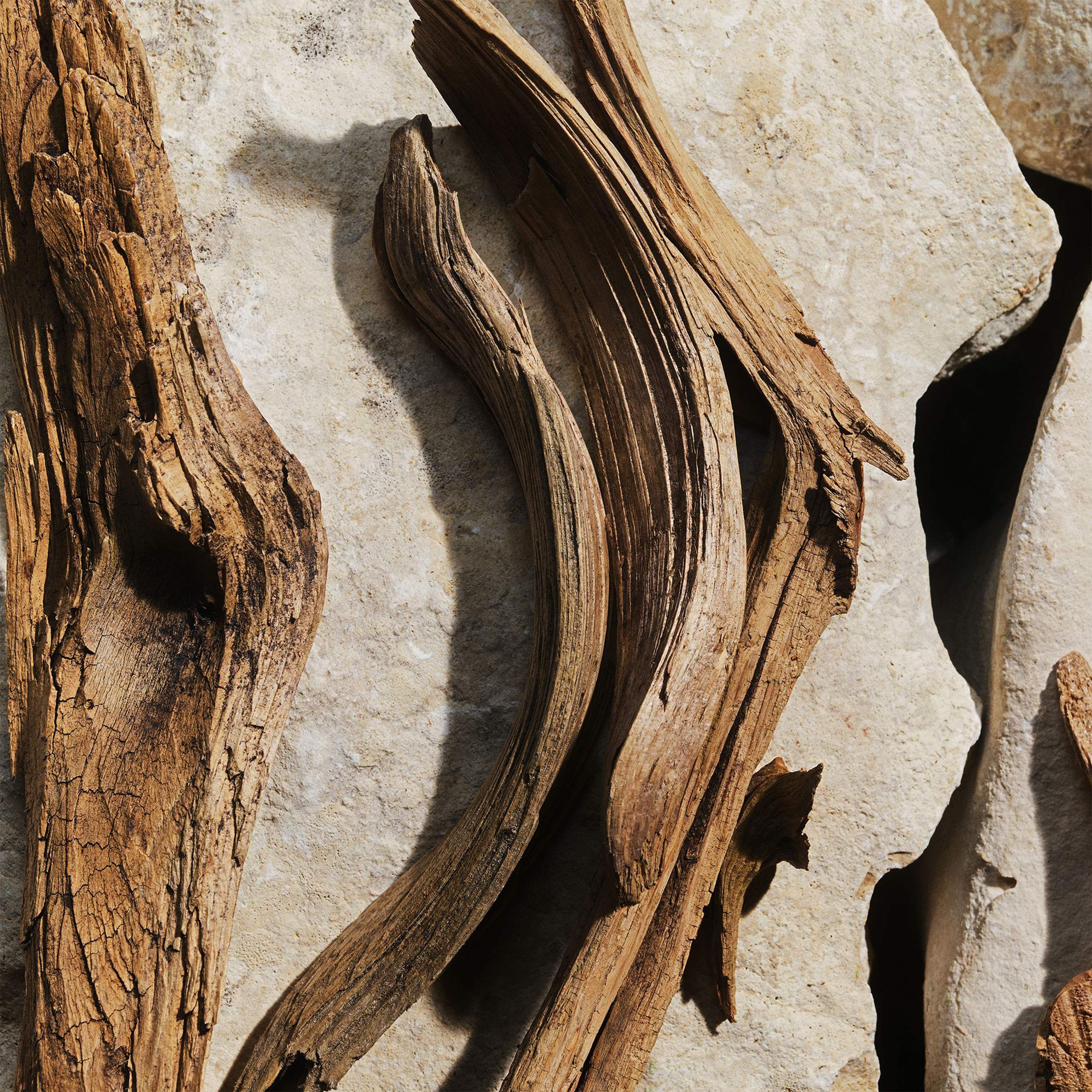 Light Blue Eau de Toilette