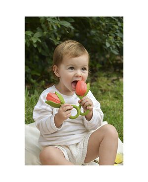 Oli & Carol - Bidering - Theo the Tulip