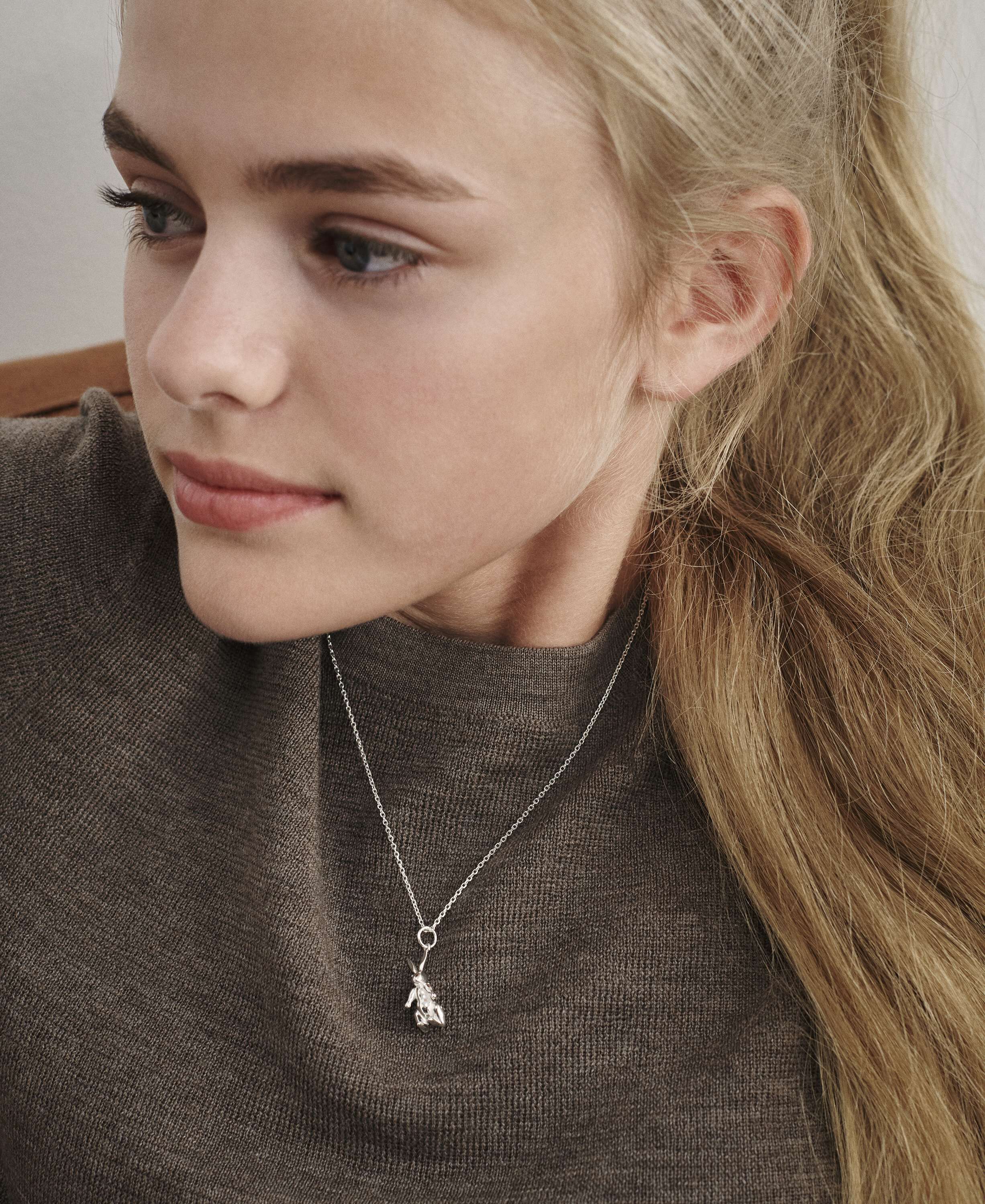 Kaninen i s&oslash;lv med k&aelig;de