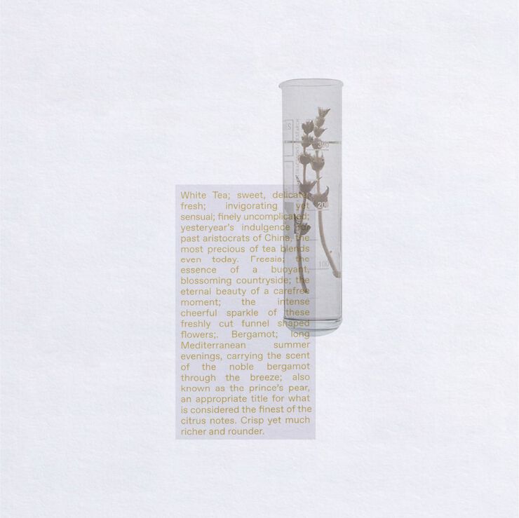 White Tea Eau De Toilette