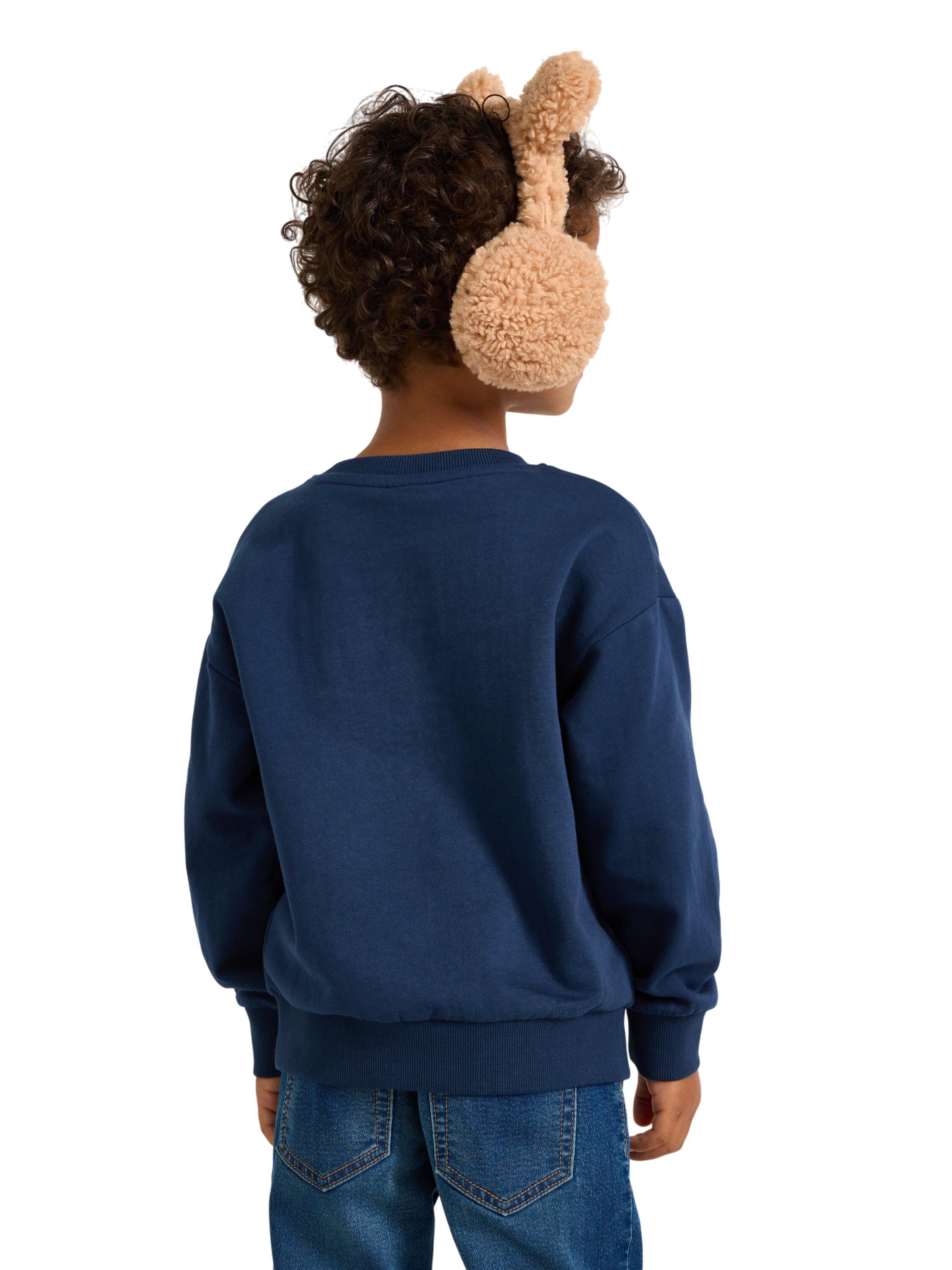 Sweatshirt with a brushed inside an