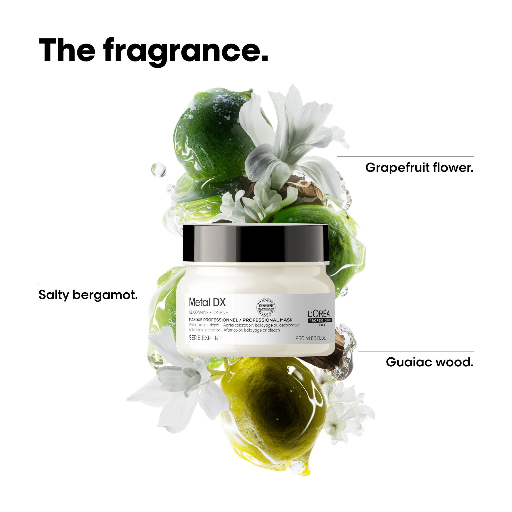 L'Or&eacute;al Professionnel Metal DX Mask 250ml