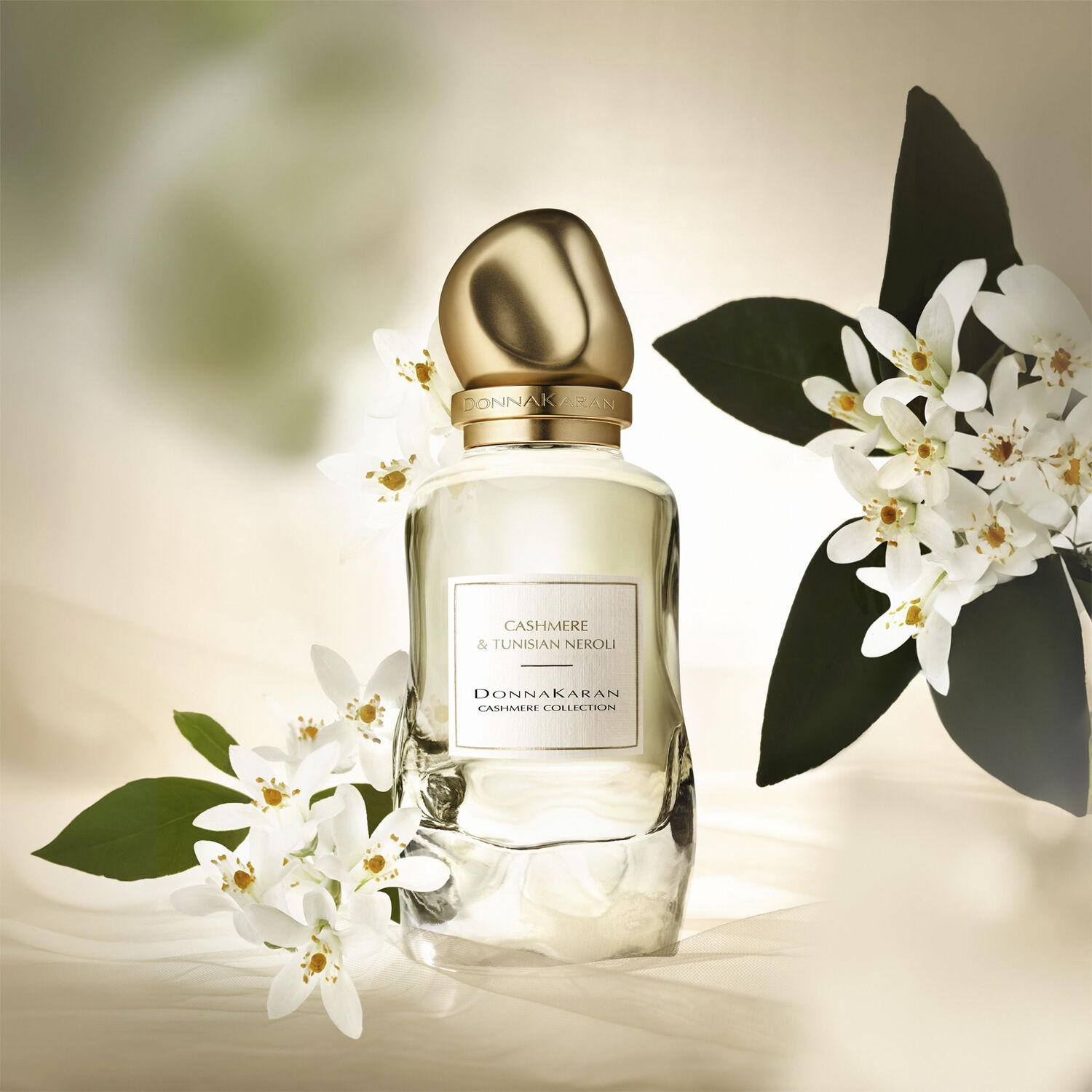 Cashmere Collection Eau de parfum tunisian neroli 100 ML