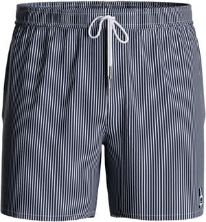 Striped Swim Shorts