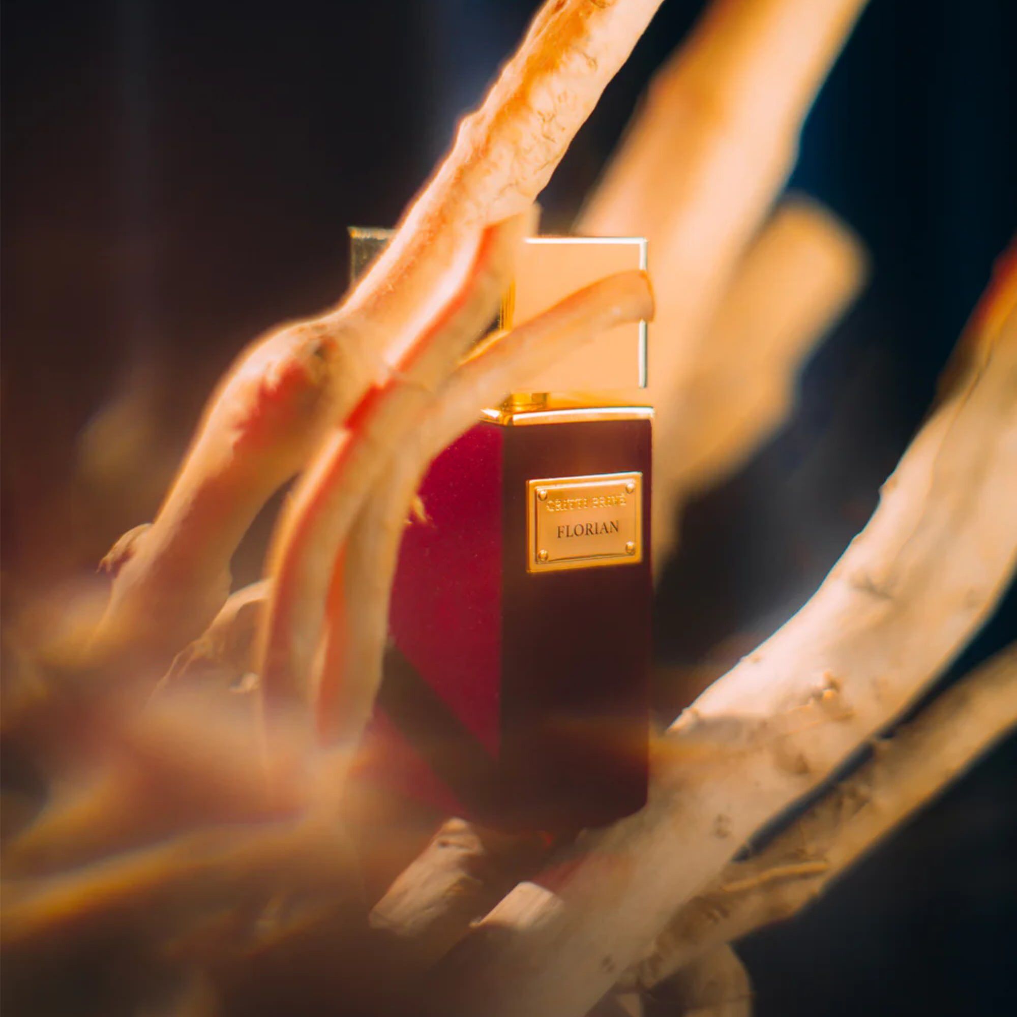 GRITTI Florian Extrait de Parfum 100 ml
