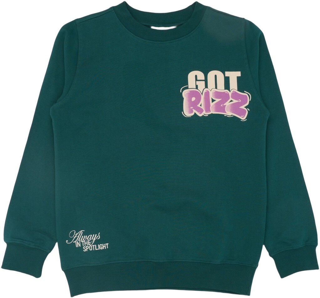 TNReg Sweatshirt