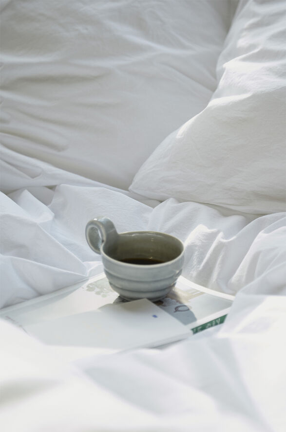 Fossflakes Winter Duvet