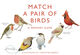 Match a pair of Birds