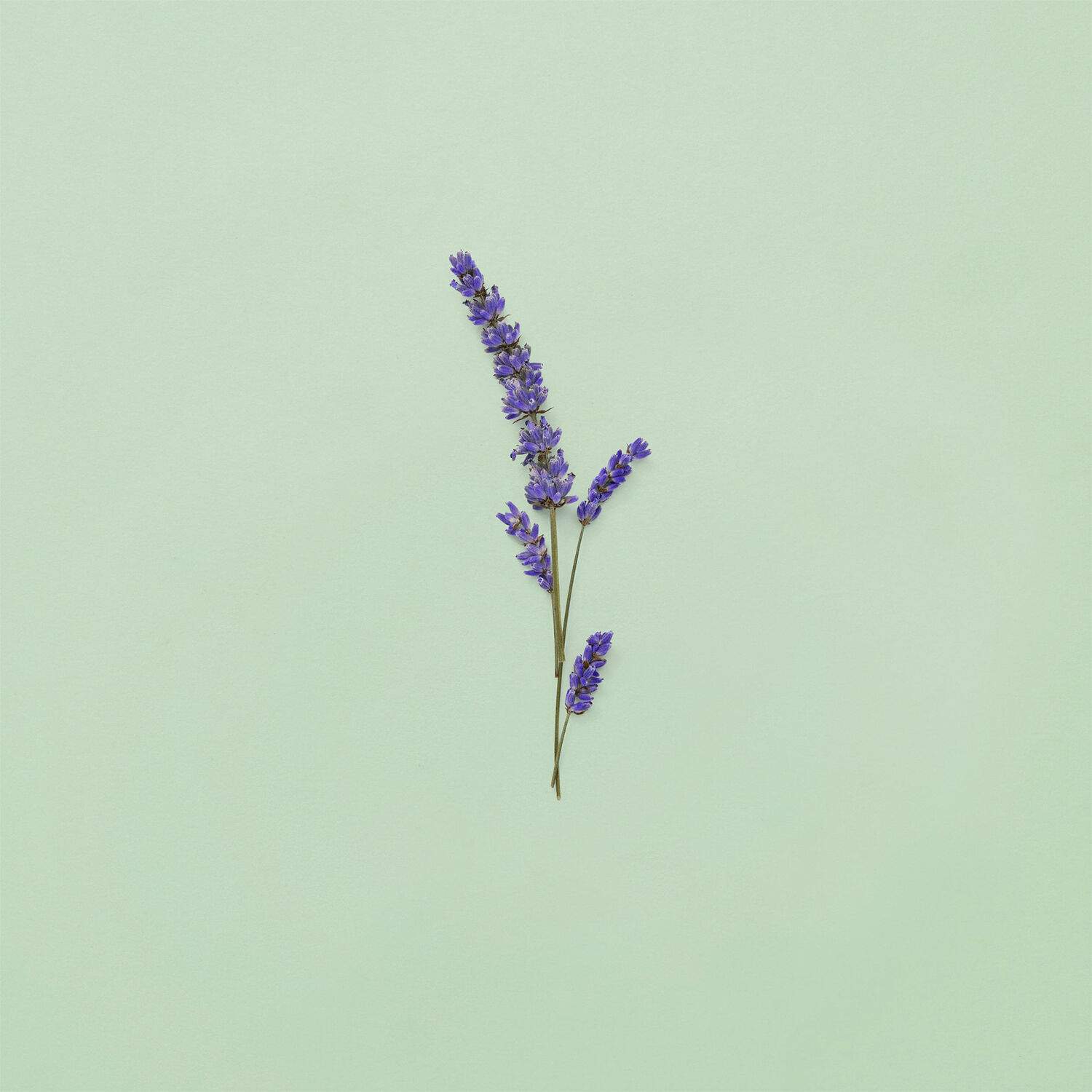 Gucci Guilty Pour Homme Eau de Toilette