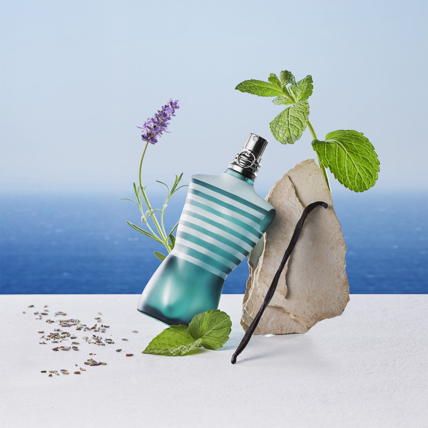 Le Male Alcohol-free deodorant stick 75 gr