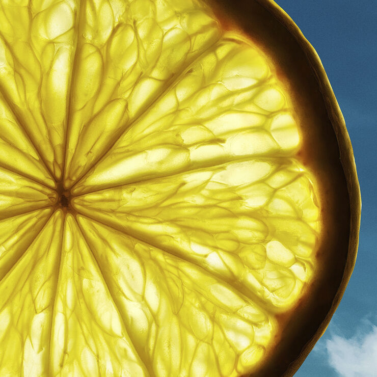 Bottled Bold Citrus Summer Eau De Parfum