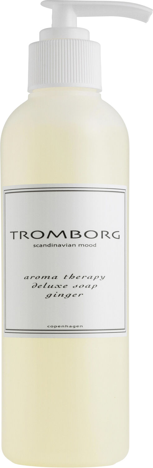 Aroma Therapy Deluxe Soap Ginger