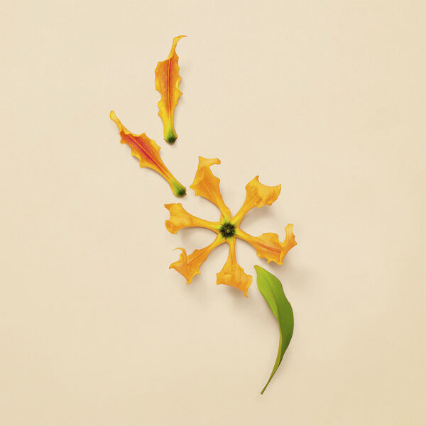 EDP Intense Eau de parfum